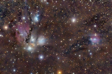 NGC2170-950