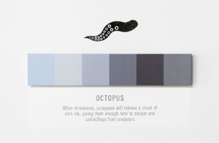 octopus_900-600x393